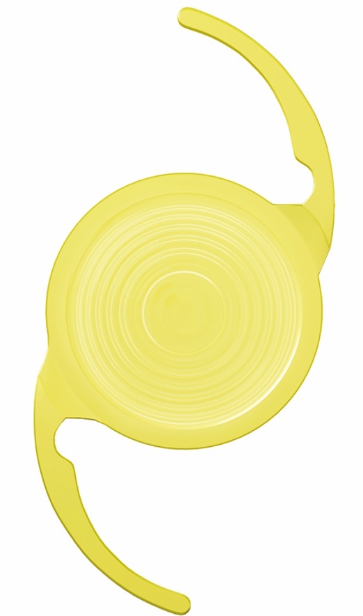 ��������Y�̎ʐ^